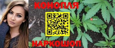 ешки Краснознаменск