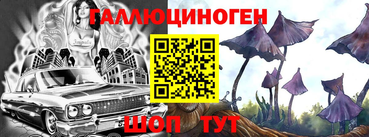 Псилоцибиновые грибы прущие грибы  Вход с VPN  Ярославль 